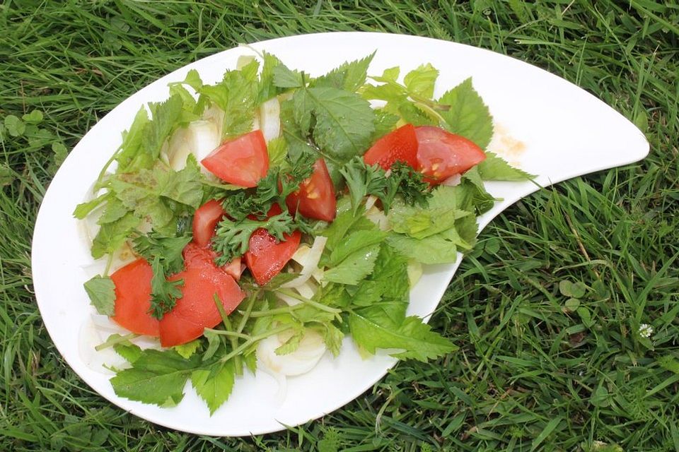 Giersch-Chicorée-Salat mit Tomaten