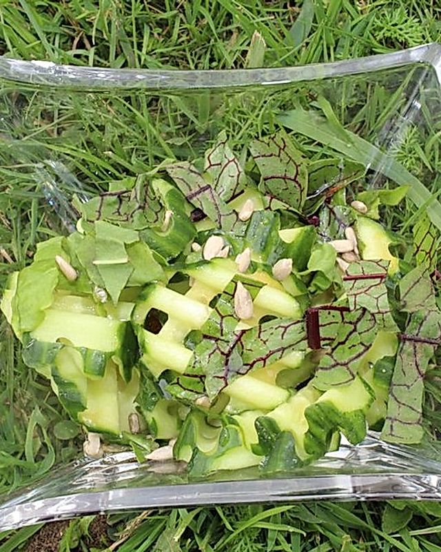 Gurken-Blutampfer-Sauerampfer-Salat mit Sonnenblumenkernen
