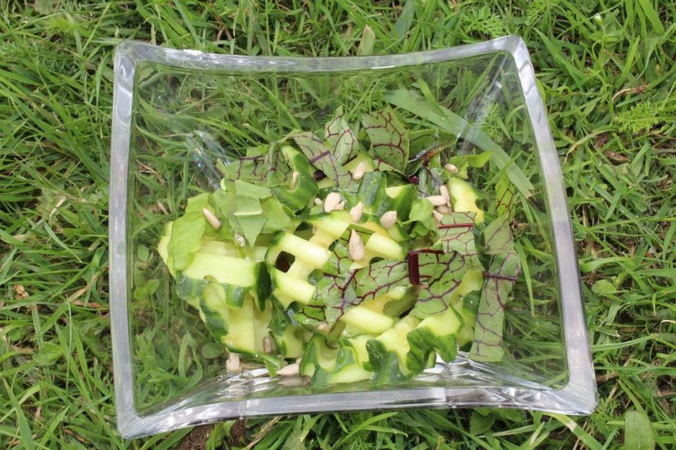 Gurken-Blutampfer-Sauerampfer-Salat mit Sonnenblumenkernen