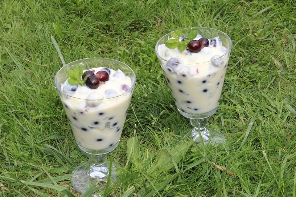 Pudding-Joghurt-Creme mit Jostabeeren