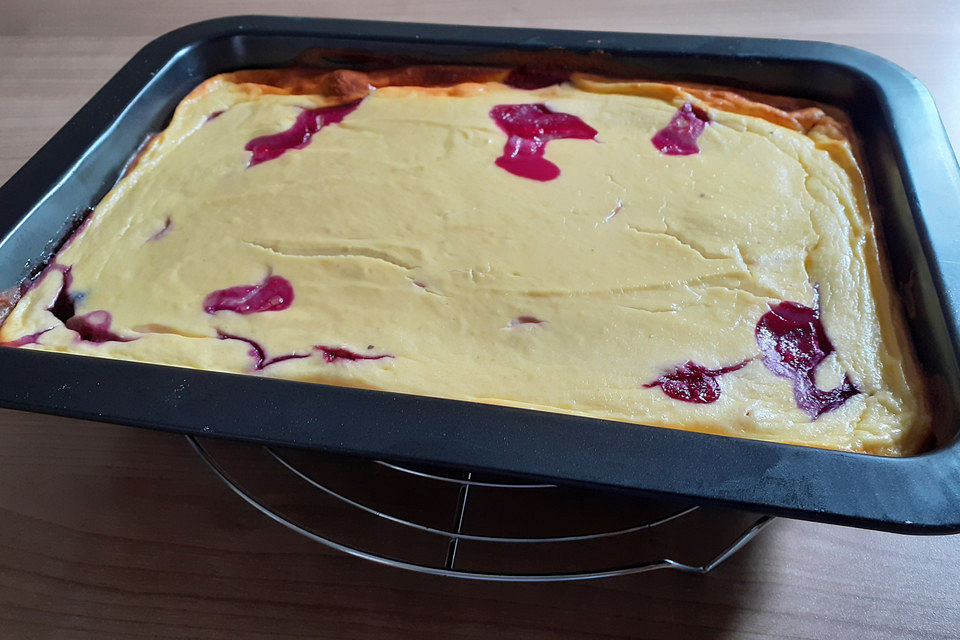 Schwarze Johannisbeere-Dinkel-Quark-Kuchen