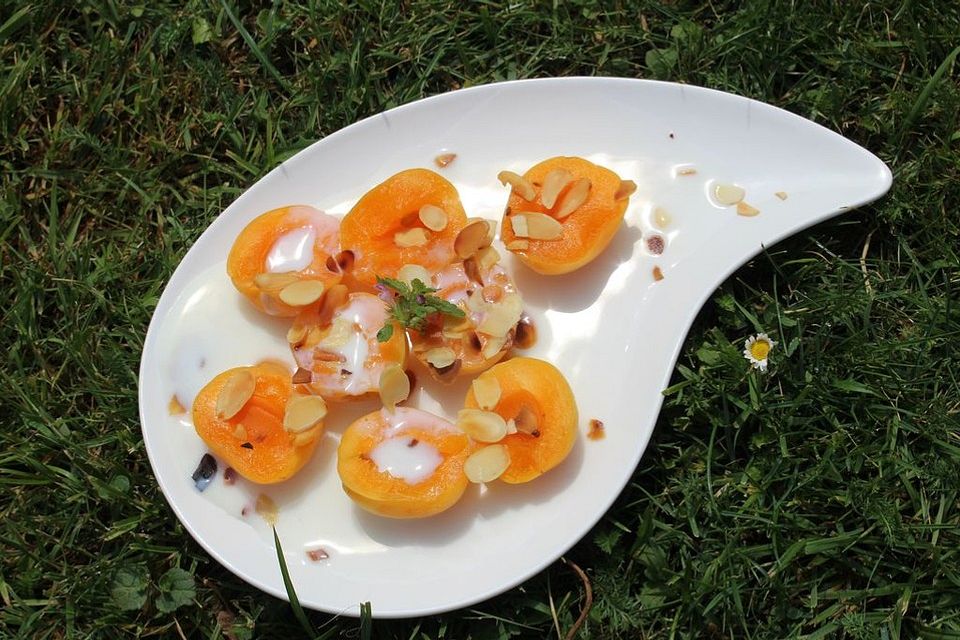 Aprikosenhälften mit Honig-Buttermilch-Sauce und gerösteten Mandelblättchen