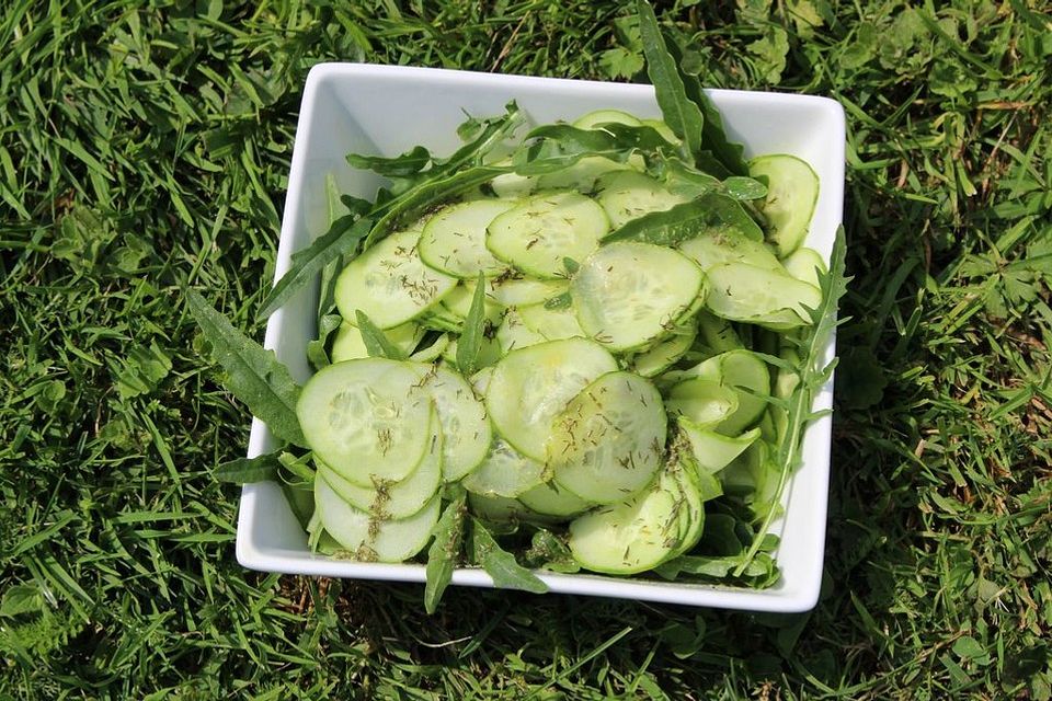 Gurken-Rucola-Salat in Dill-Senf-Dressing