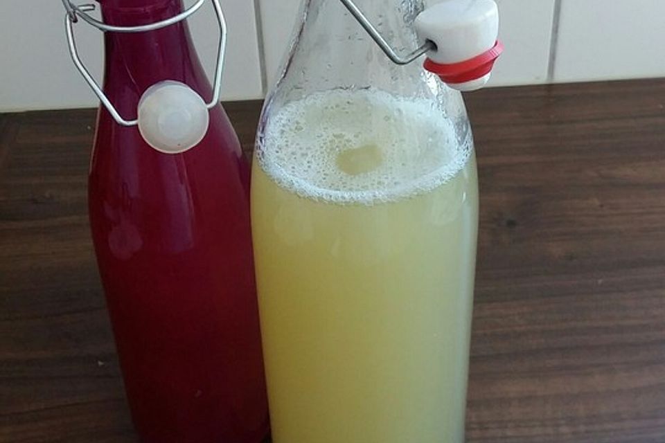 Limonen-Ingwer-Limonade