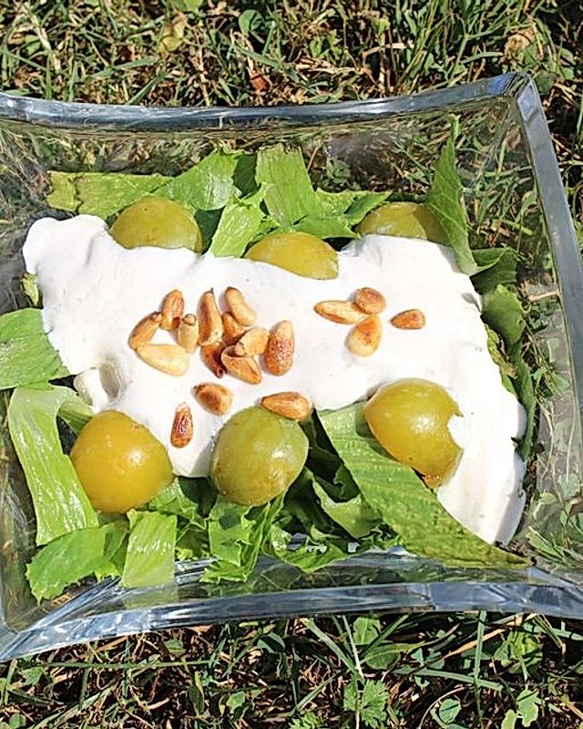 Blattsalat mit Mirabellen und Pinienkernen in Rotweinessig-Quark-Dressing