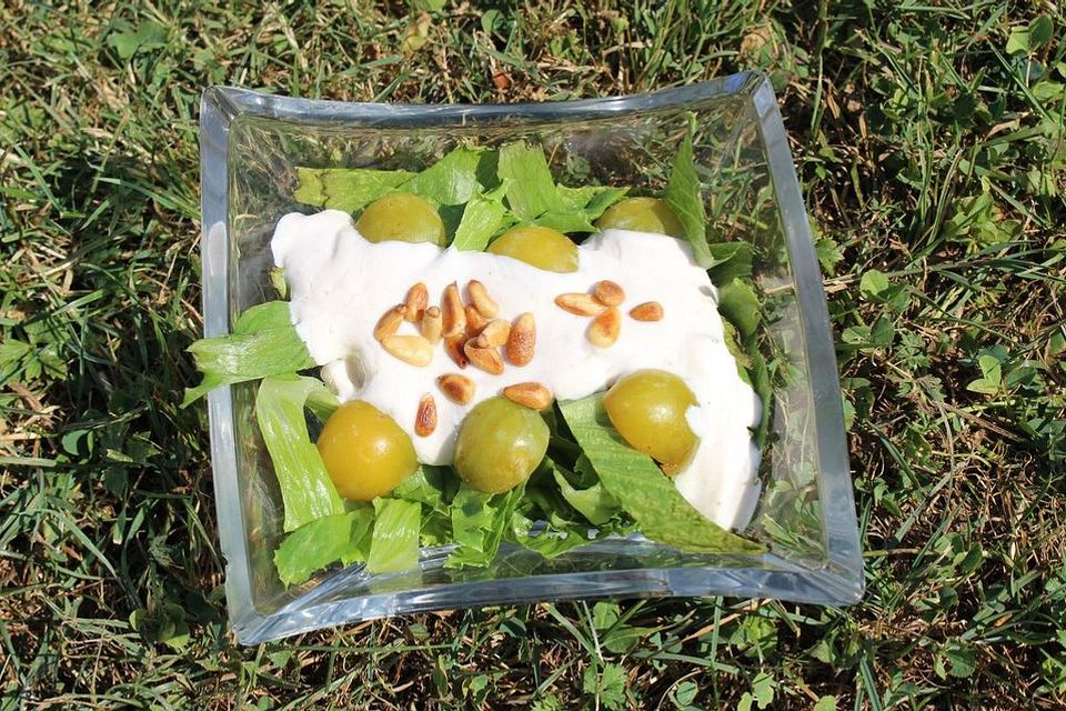 Blattsalat mit Mirabellen und Pinienkernen in Rotweinessig-Quark-Dressing