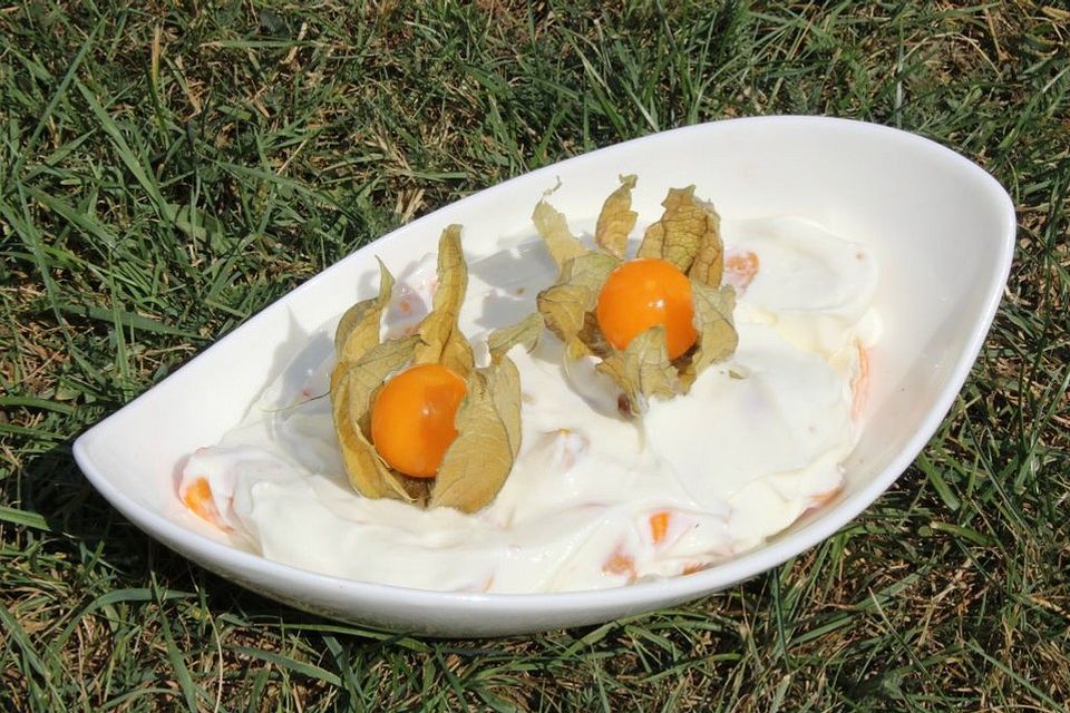 Physalis-Kumquat-Quark-Dessert