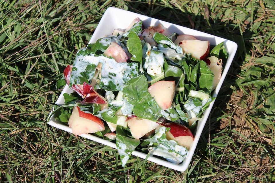 Salat mit Mangold und gelber Pflaume in Sauerrahmdressing