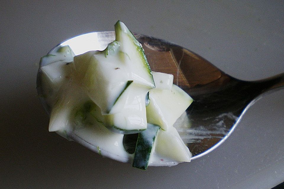 Fenchel - Zucchini - Salat