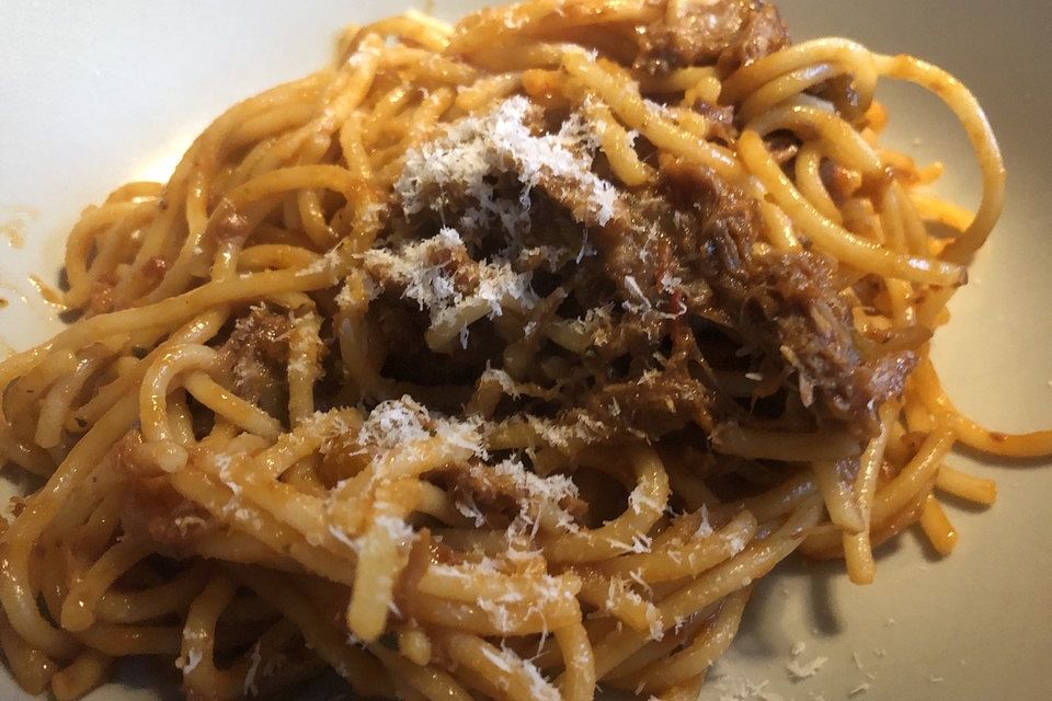 Bolognese