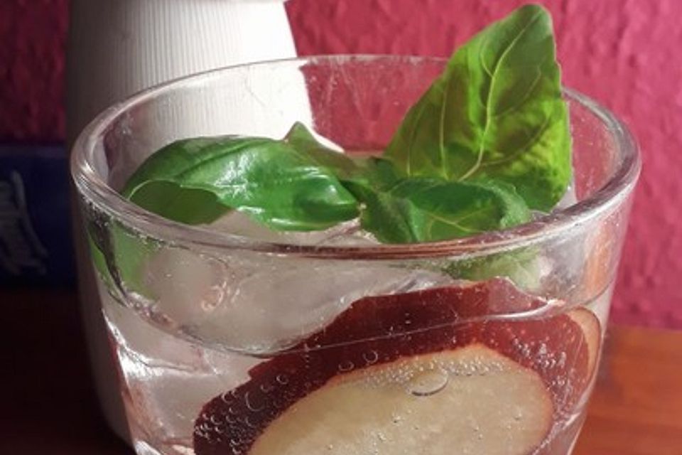 Gin and Tonic mit Apfel und Basilikum Gin and Tonic mit Apfel und Basilikum