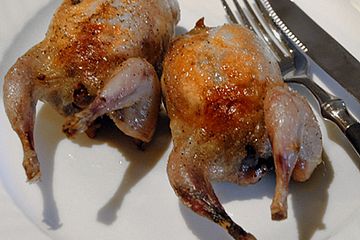 Wachteln, gefüllt mit Taubenbrust und Foie gras