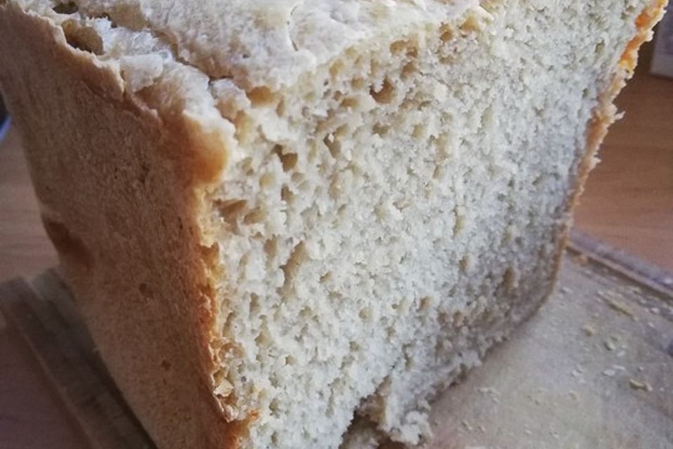 Roggen-Dinkel-Vollkornbrot aus dem Brotbackautomat