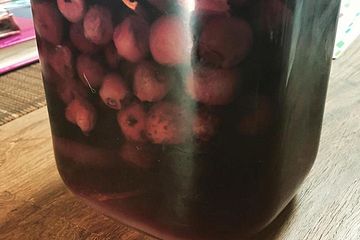 Ginja