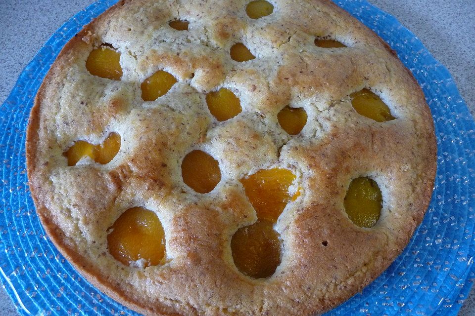 Weihnachtlicher Aprikosenkuchen mit Nussteig