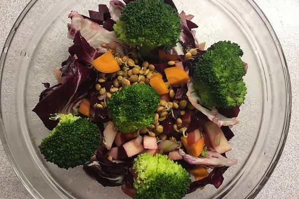 Radicchio-Salat mit Sprossen und Brokkoli von Ninibär | Chefkoch