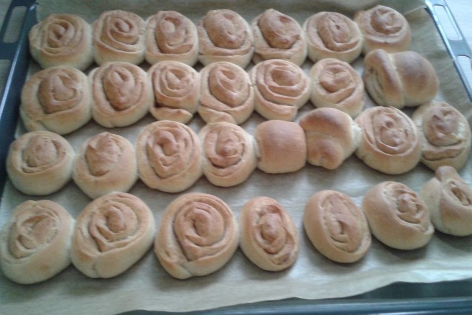 Zimtschnecken Zimtschnecken
