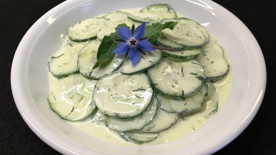 Cremiger Gurkensalat von trekneb