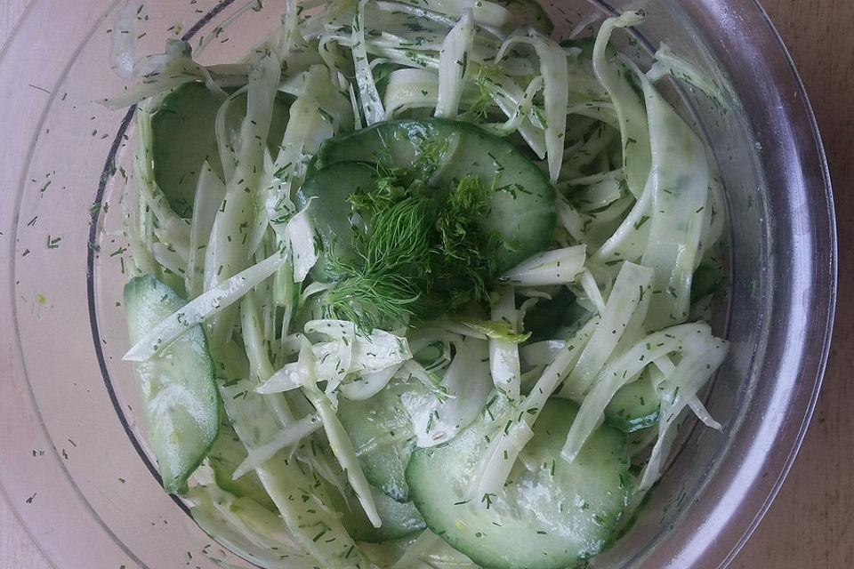 Gurken-Fenchel-Salat