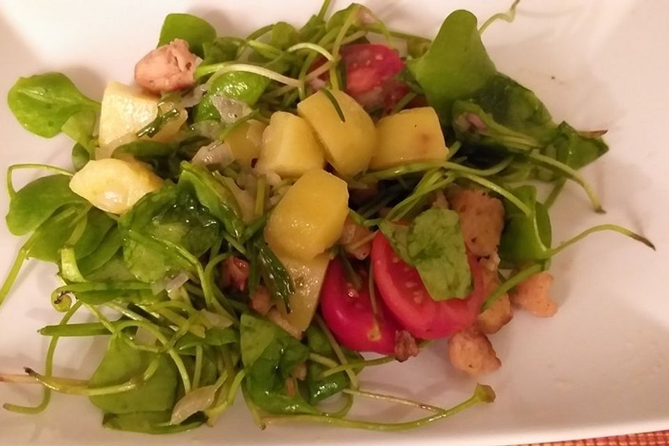 Postelein-Salat auf Kartoffel-Vinaigrette