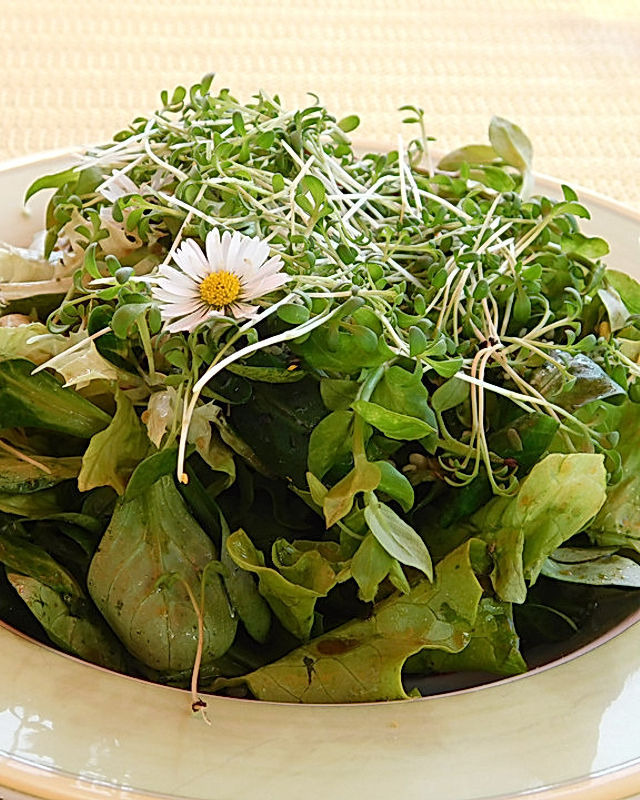 Unkraut-Salat