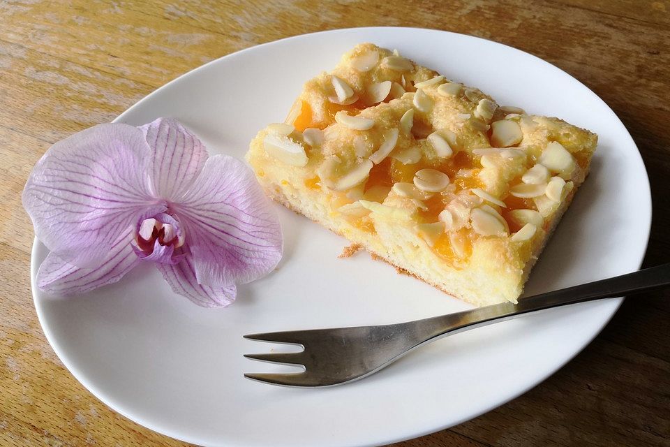 Mandarinenkuchen