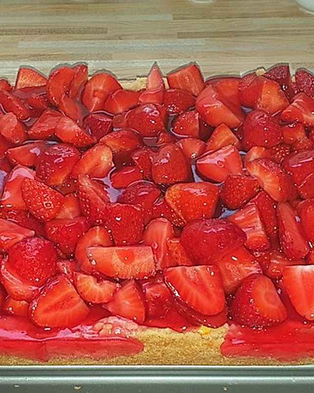 Erdbeer-Käsekuchen auf dem Blech