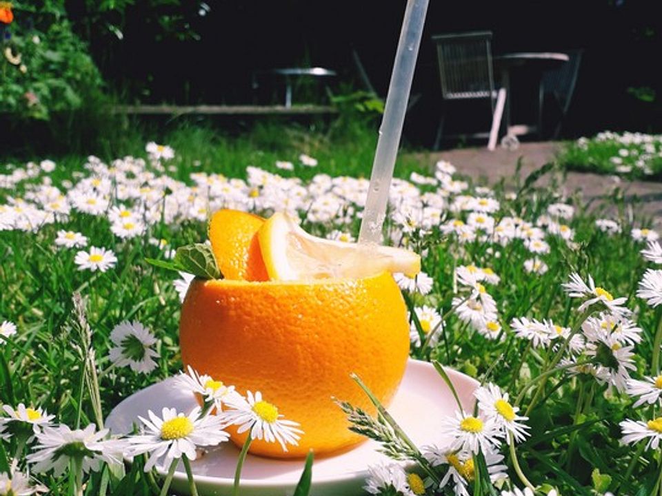 Orangenlimonade von Sunflower_delicious| Chefkoch