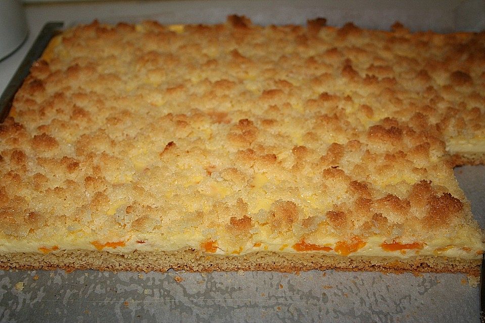 Mandarinenkuchen mit Quark und Kokos