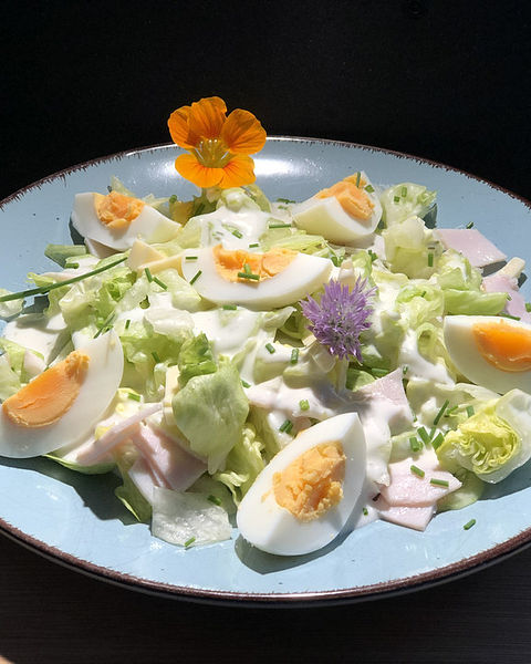 Eisbergsalat Rezepte - die besten Rezepte 2024 | Chefkoch