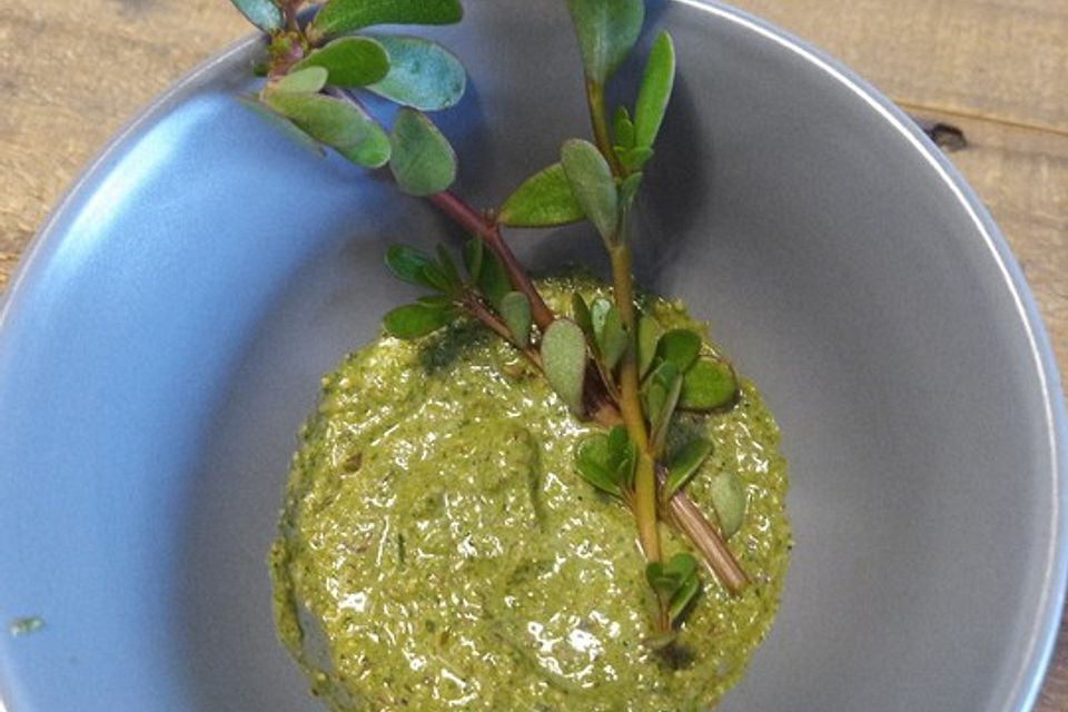 Wilder Portulak-Pesto