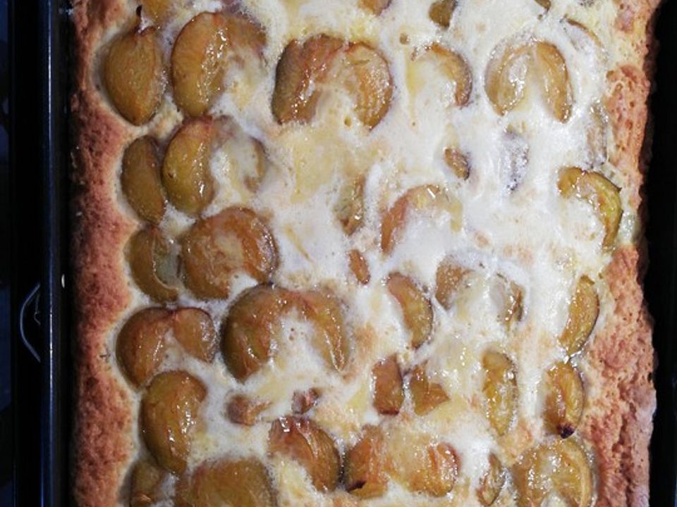 Mirabellenkuchen mit Quarkölteig und Sahneguss von He-fe| Chefkoch