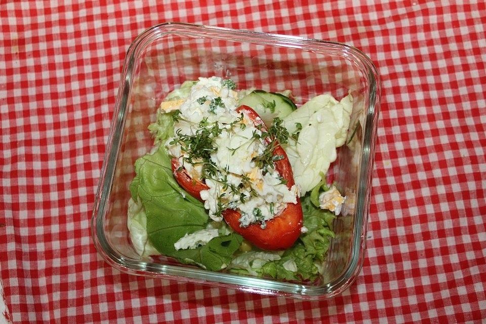 Eier-Hüttenkäsesalat im Paprika- und Salatbett