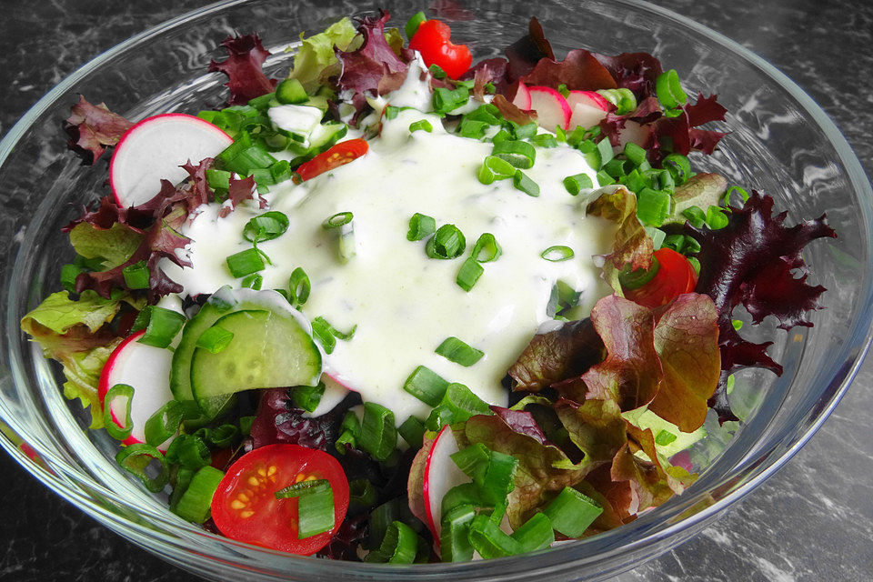 Kopfsalat, Gurke, Radieschen und Tomaten mit einem Joghurt Knoblauch Dressing