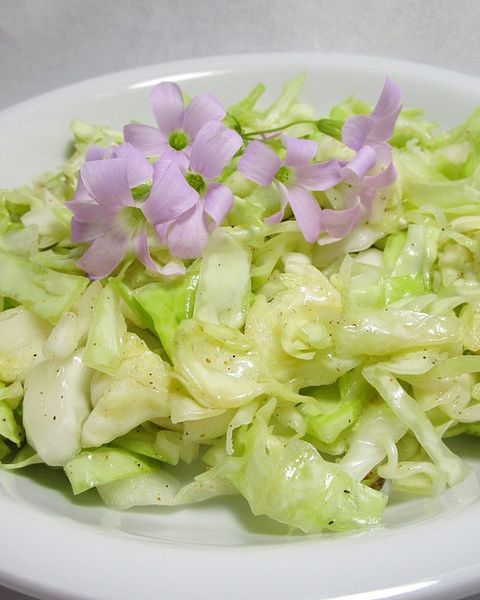 Spitzkohlsalat Rezepte | Chefkoch