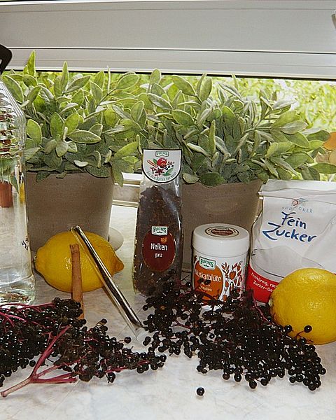 Hollerlikör Rezepte | Chefkoch Hollerlikör Rezepte | Chefkoch