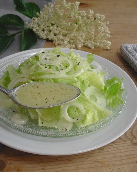 Eisbergsalat Rezepte - die besten Rezepte 2026 | Chefkoch