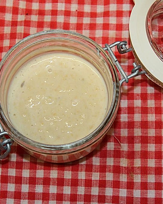 Hummus mit Jogurt und Salzzitronen
