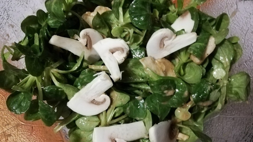 Feldsalat mit Champignons und Meerrettichdressing von Abacusteam Feldsalat mit Champignons und Meerrettichdressing von Abacusteam
