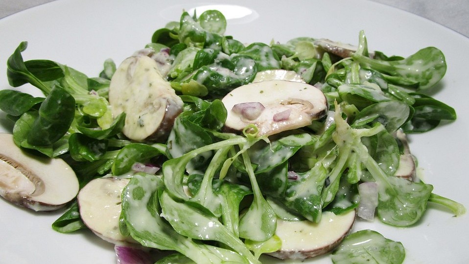 Feldsalat mit Champignons und Meerrettichdressing von Abacusteam Feldsalat mit Champignons und Meerrettichdressing von Abacusteam