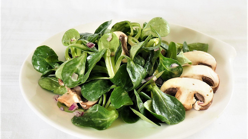 Feldsalat mit Champignons und Meerrettichdressing von Abacusteam Feldsalat mit Champignons und Meerrettichdressing von Abacusteam