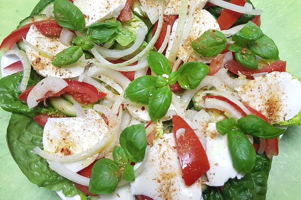 Italienischer Tomaten - Mozzarella - Salat mit Rucola