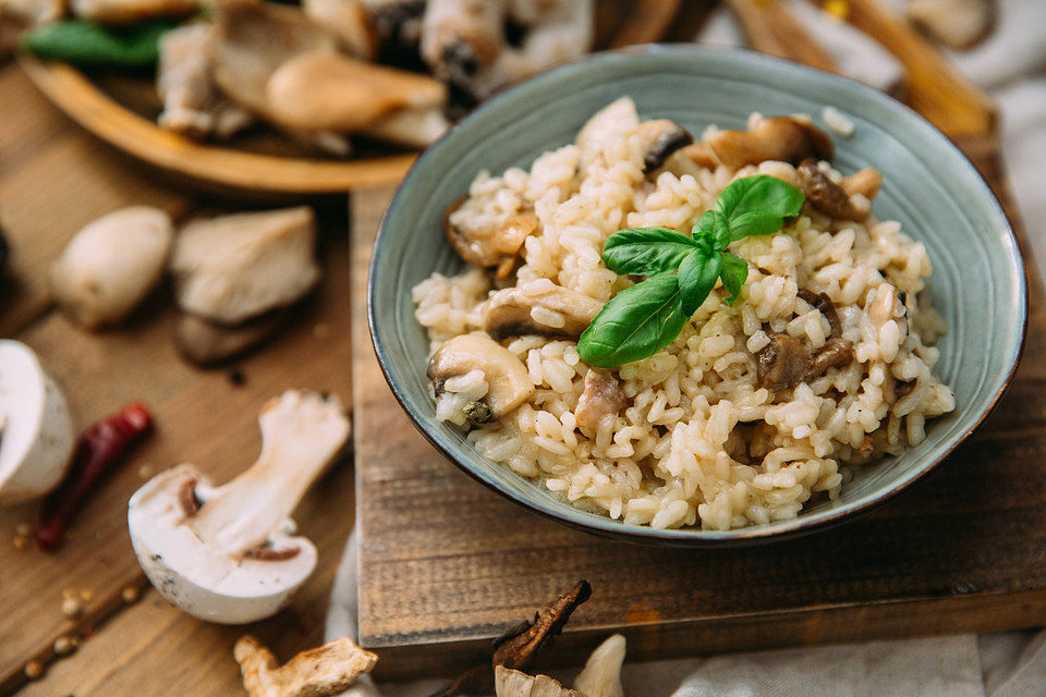 Pflücksalat mit Steinpilzrisotto