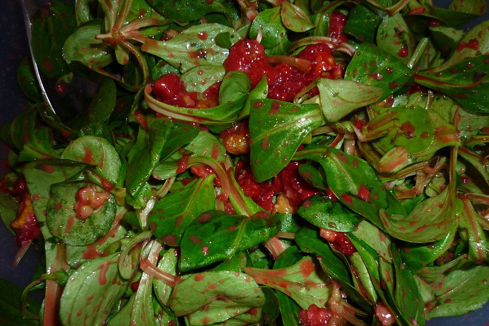 Feldsalat mit Himbeeren und Walnusskernen