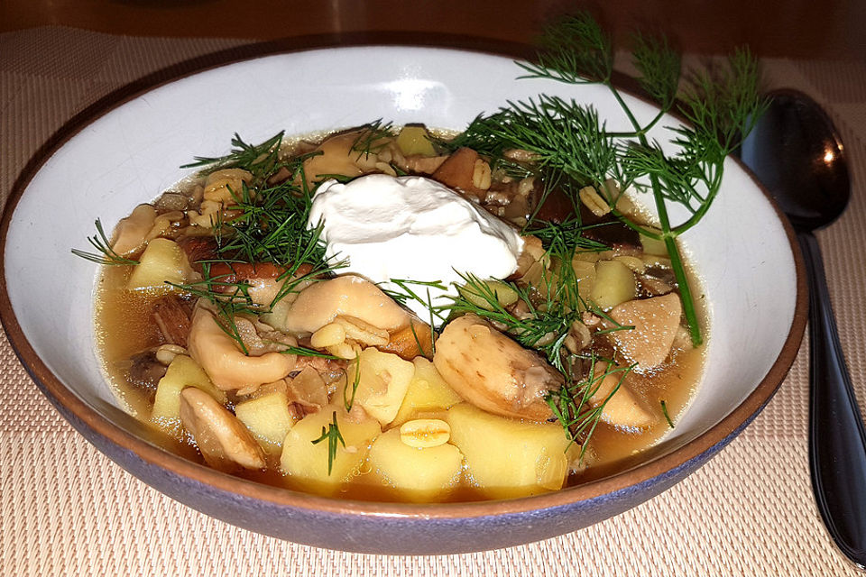 Russische Steinpilzsuppe mit Graupen und Dill