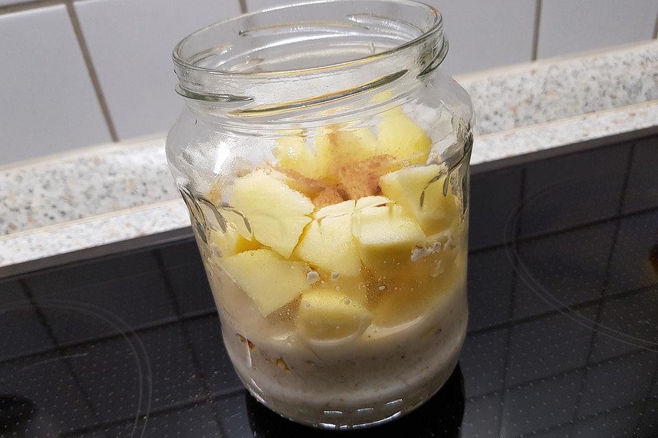 Haferbrei bzw. Porridge mit Apfel