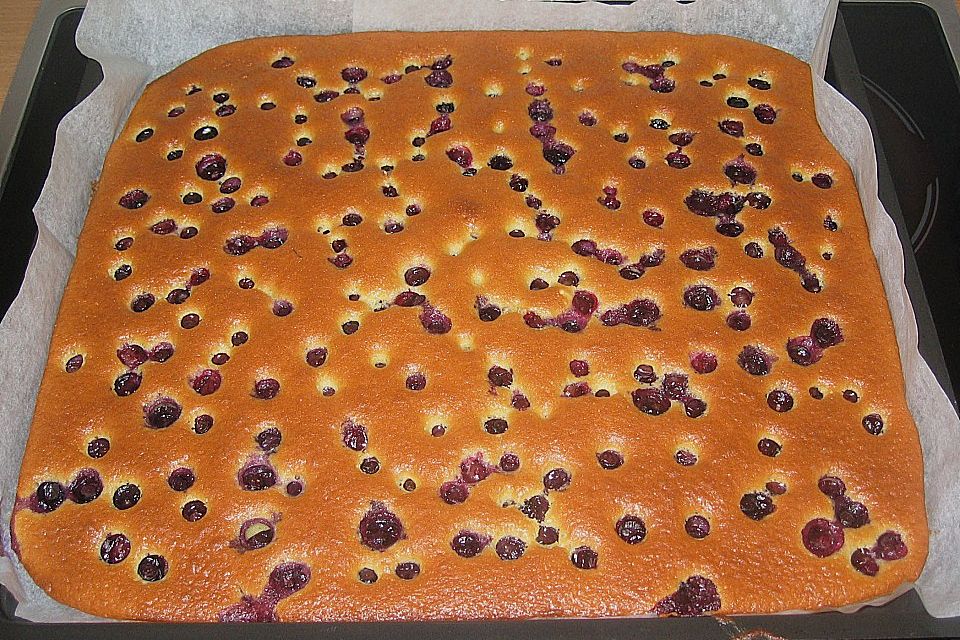 Heidelbeer - Blechkuchen