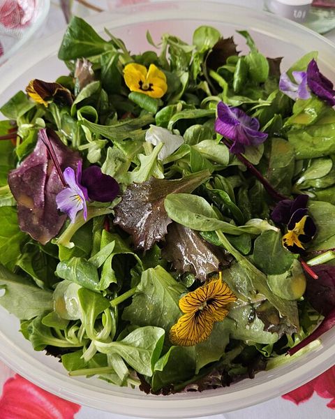 Wildkräutersalat Rezepte | Chefkoch Wildkräutersalat Rezepte | Chefkoch