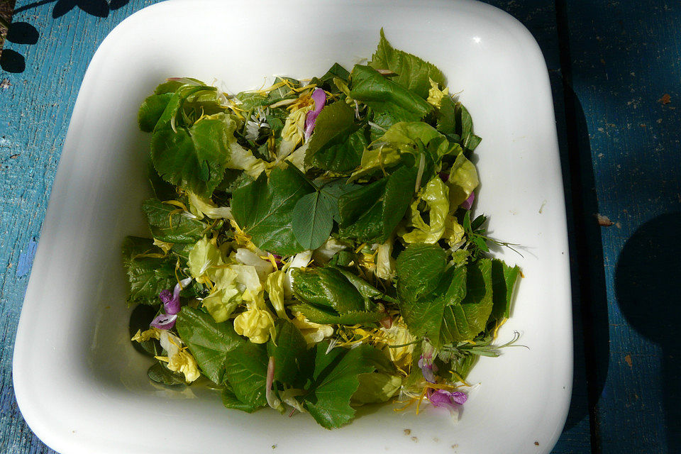 Frühlings-Salat mit Blättern und Blüten