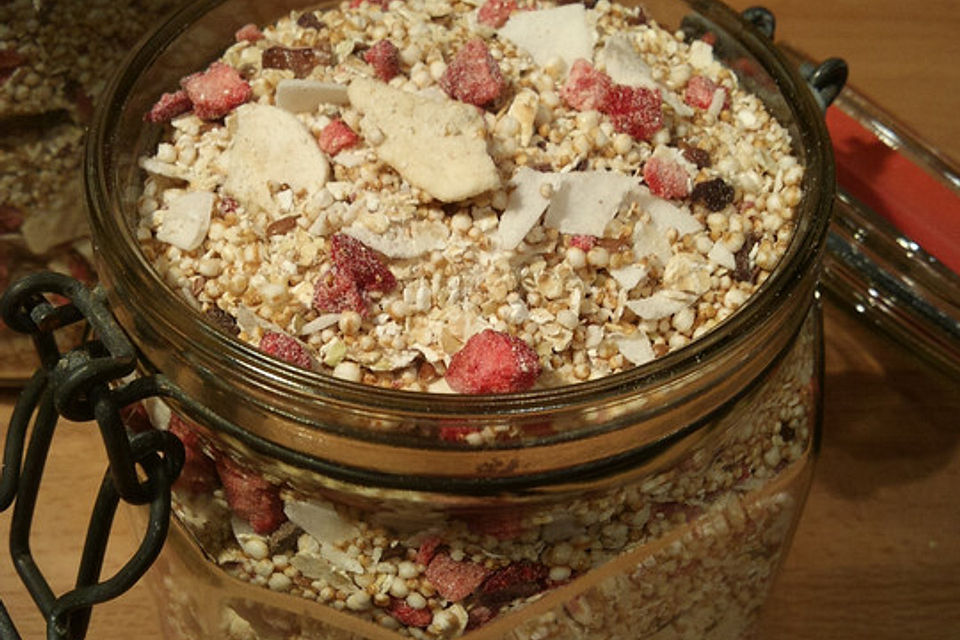 Kokos-Frucht-Müsli mit Kakaonibs